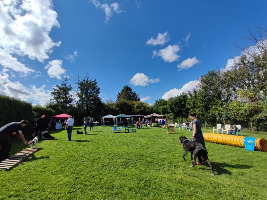 Sommerfest2023-1